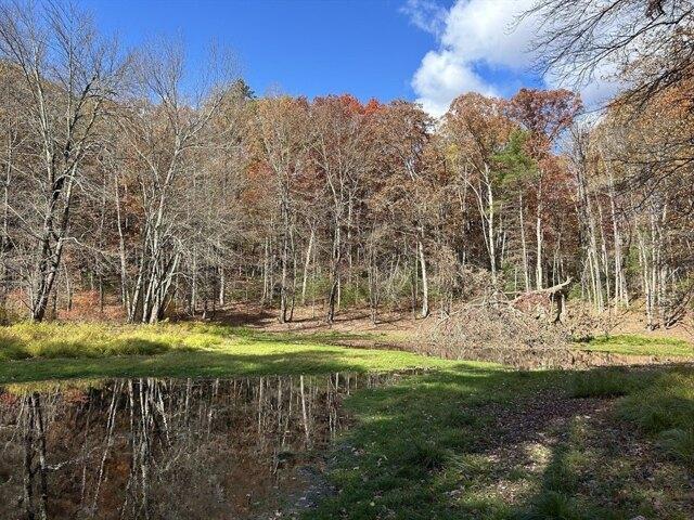 Land for sale in Florence, Massachusetts