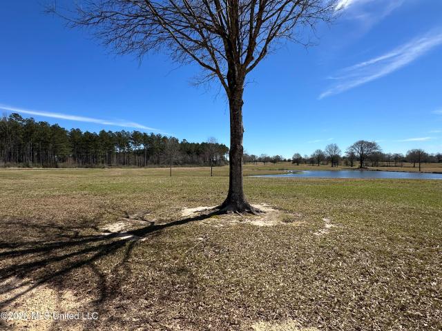 Land for sale in Poplarville, Mississippi