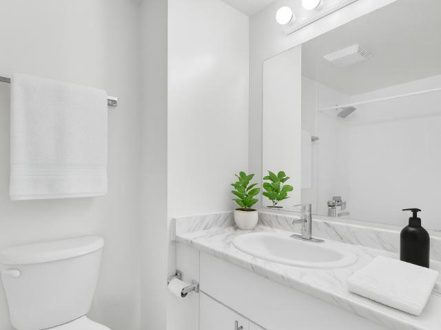 Apartment for rent in Waterloo, Ontario