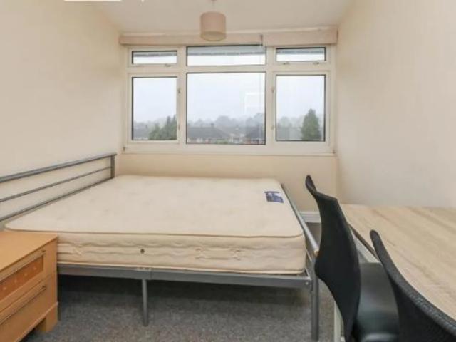 House for rent in Lakenham, East Bank