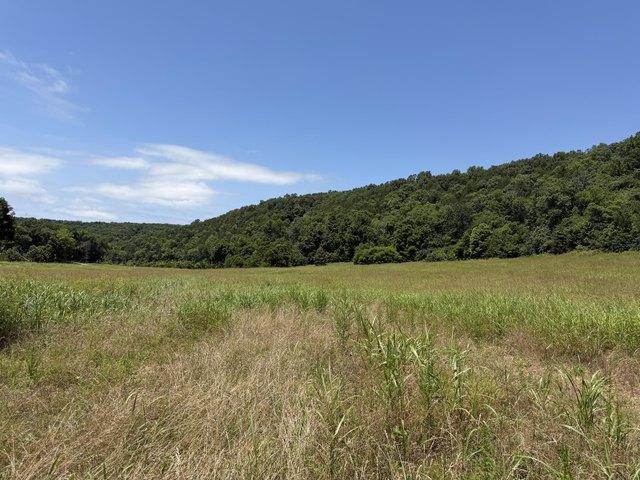 Land for sale in Missouri