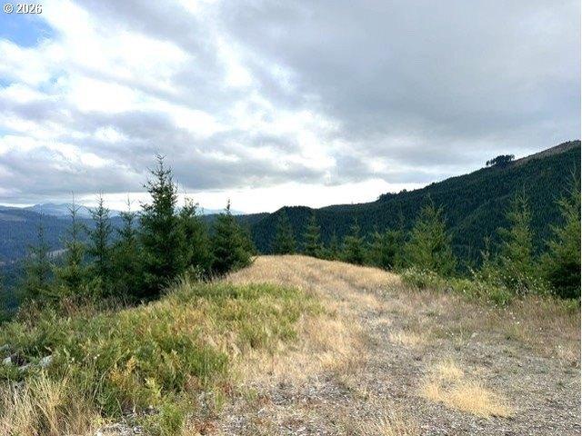 Land for sale in Oregonia, Oregon