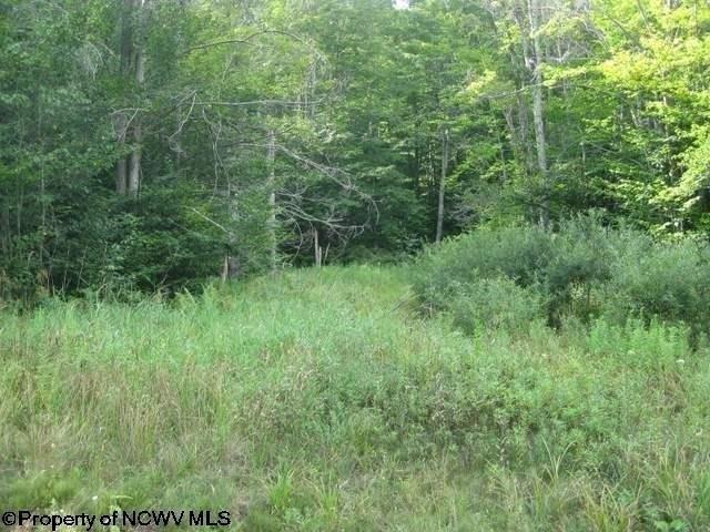 Land for sale in Davis, West Virginia