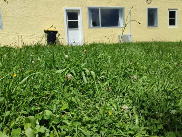 Apartment for rent in Matata, Wellington
