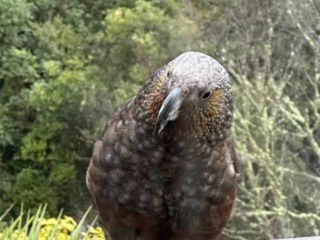 House for rent in Matata, Wellington