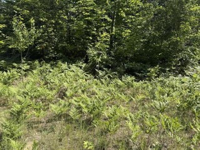 Land for sale in Mancelona, Michigan