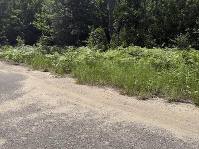Land for sale in Mancelona, Michigan