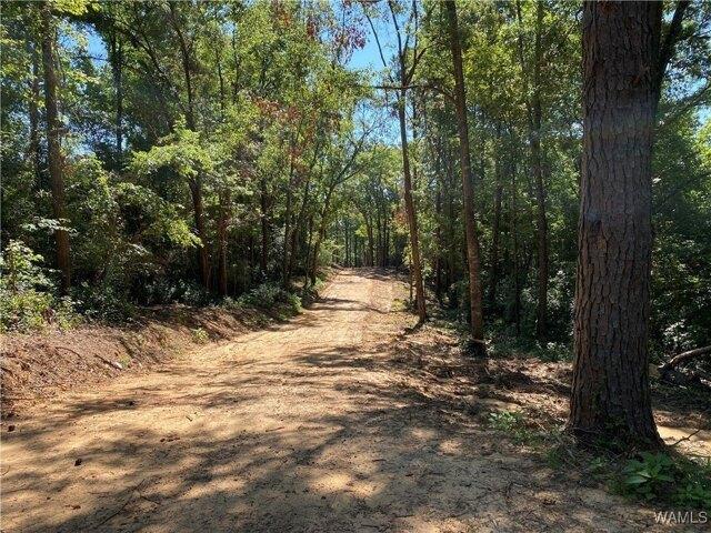 Land for sale in Northport, Alabama