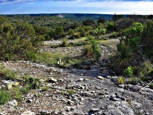 Land for sale in Comstock, Texas