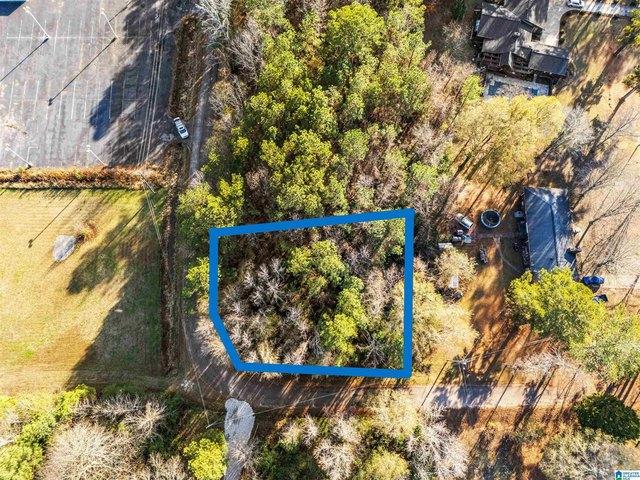 Land for sale in Piedmont, Alabama