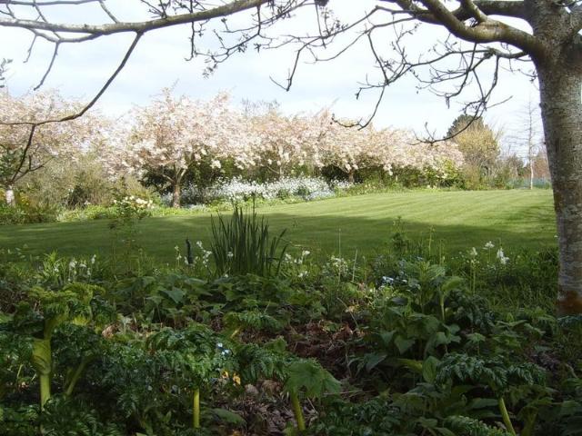 Apartment for rent in Chaslands, Canterbury