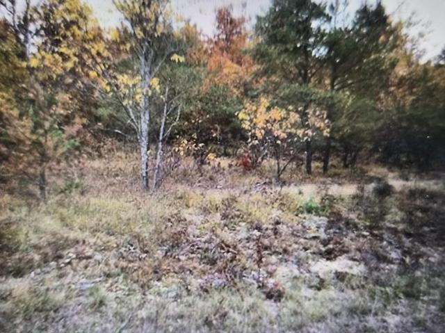 Land for sale in Grayling, Michigan