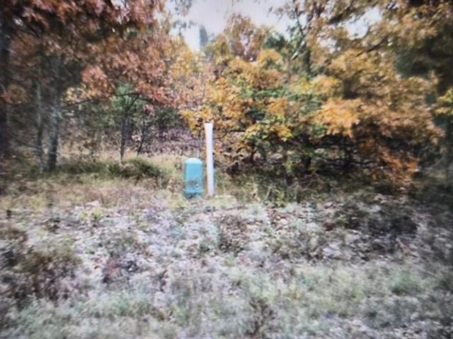 Land for sale in Grayling, Crawford County