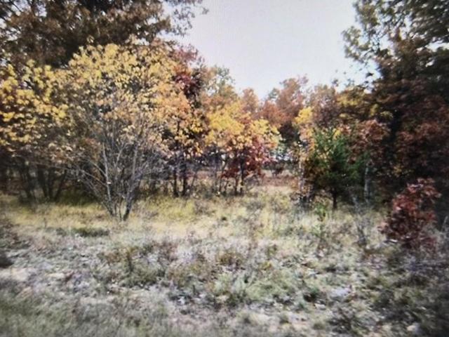 Land for sale in Grayling, Crawford County