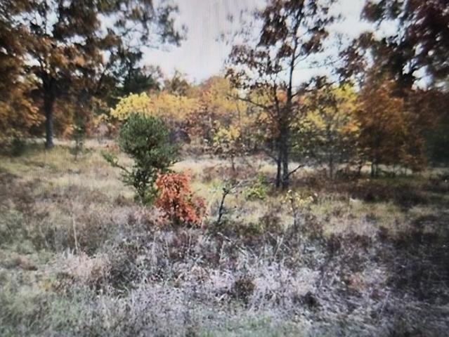 Land for sale in Grayling, Crawford County