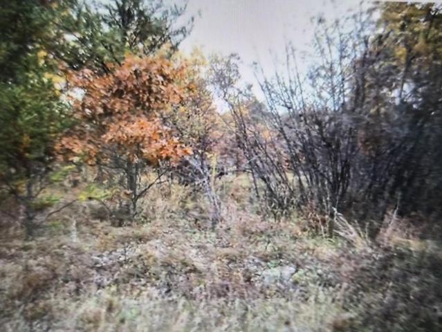 Land for sale in Grayling, Crawford County