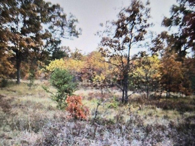 Land for sale in Grayling, Crawford County