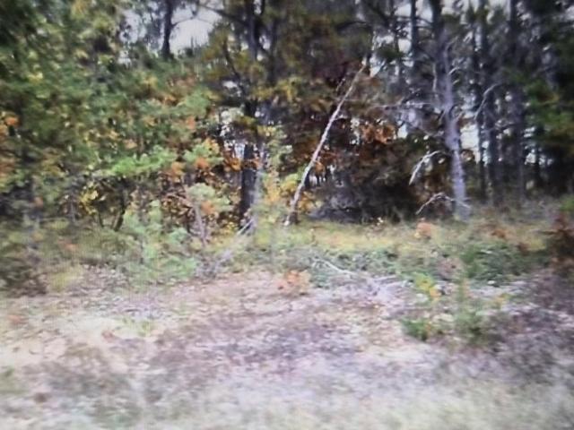 Land for sale in Grayling, Michigan