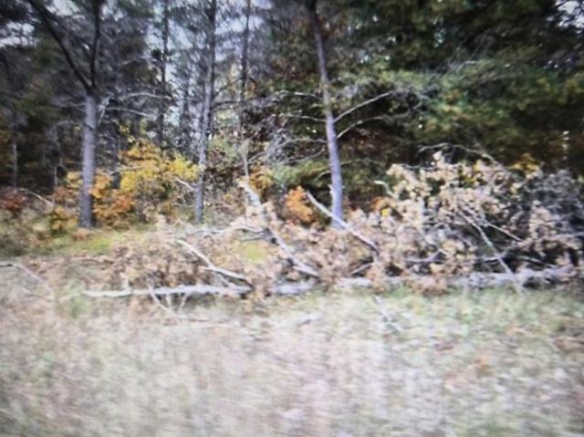 Land for sale in Grayling, Crawford County