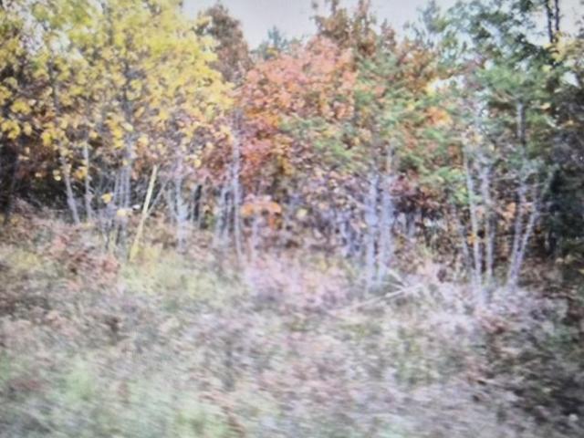 Land for sale in Grayling, Crawford County
