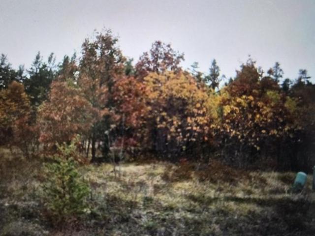 Land for sale in Grayling, Crawford County
