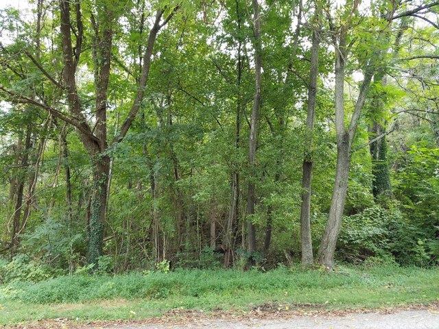 Land for sale in Virginia