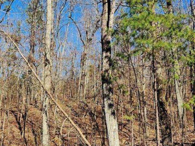 Land for sale in Trenton, Dade County