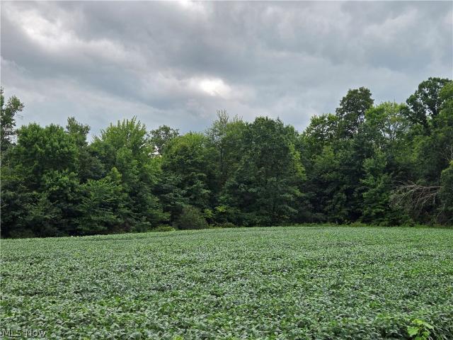 Land for sale in Garrettsville, Portage County