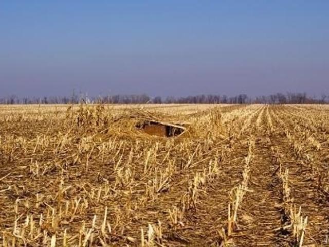 Farm for sale in Elsberry, Missouri