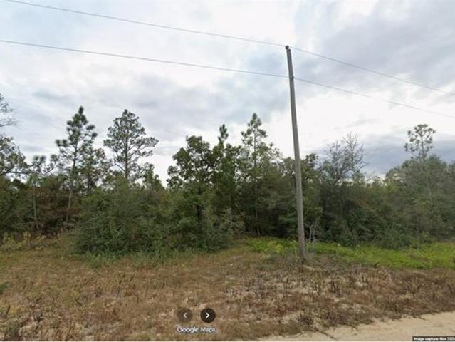 Land for sale in Chipley, Florida