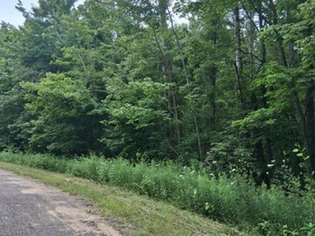 Land for sale in Elmira, Michigan