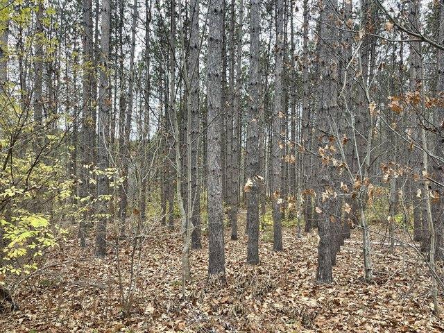 Land for sale in Woolwich, Sagadahoc County