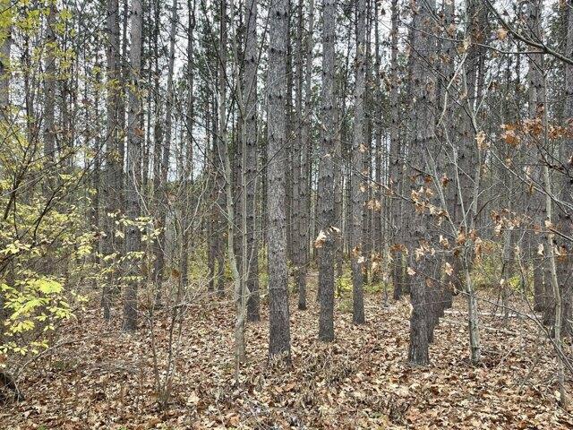 Land for sale in Woolwich, Maine