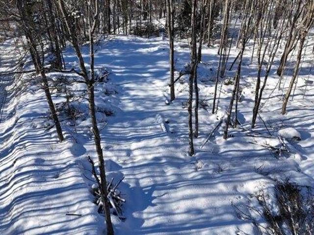 Land for sale in Norway, Maine