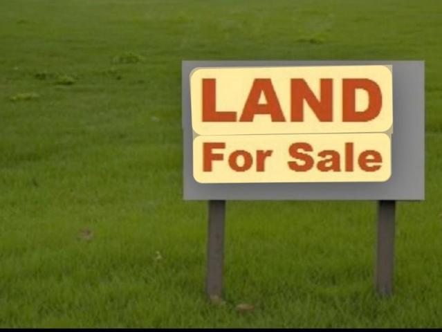 Land for sale in New South Wales