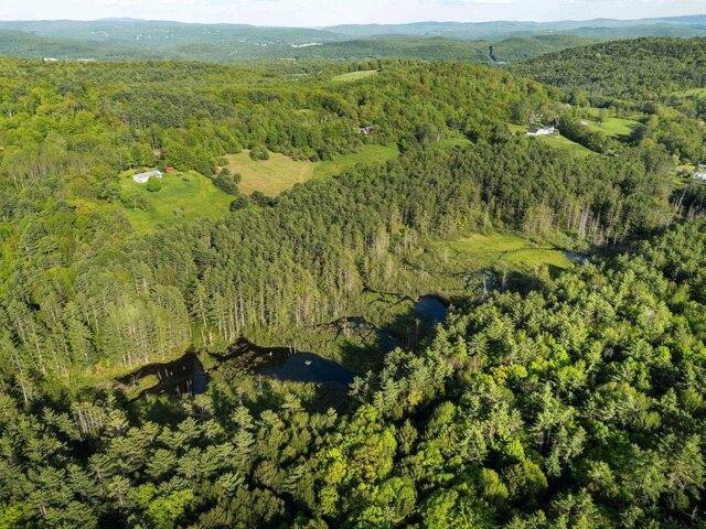 Land for sale in Plantsville, Vermont