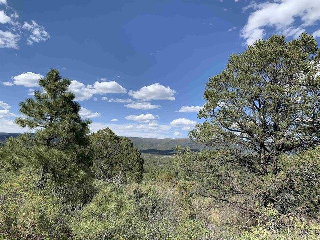 Land for sale in Timberon, New Mexico