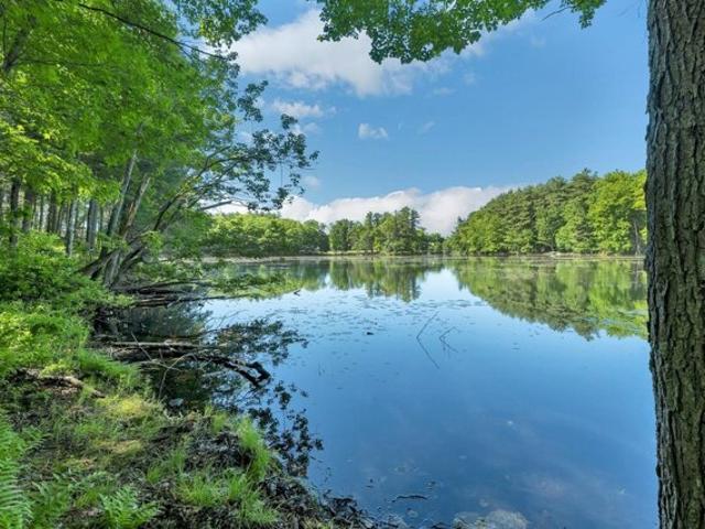 Land for sale in New Hampshire