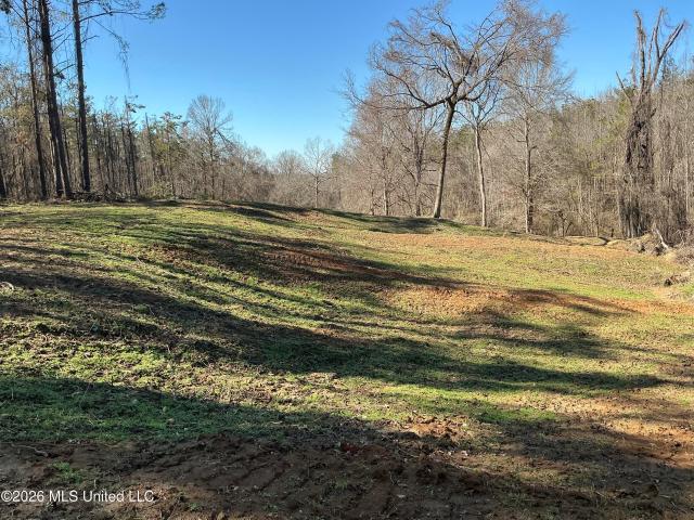Land for sale in Carrollton, Mississippi