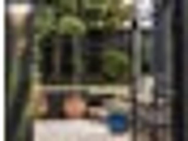 House for sale in Waihi, Waikato