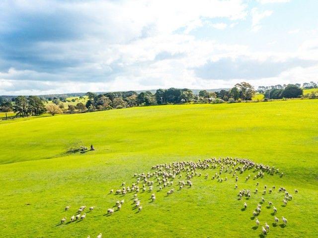Cottage for sale in Grenville, Victoria