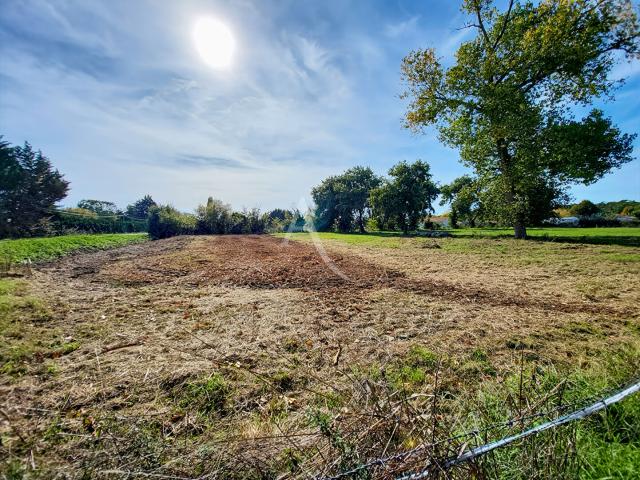 Terrain vente à Notre-dame-de-monts, Vendée
