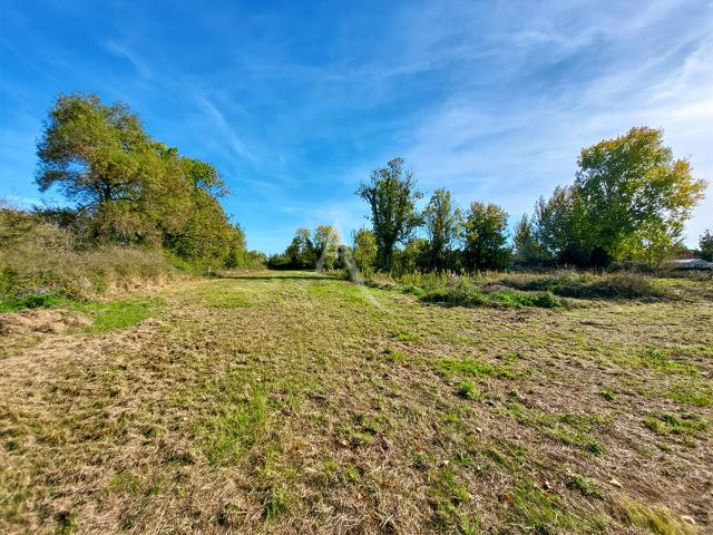 Terrain vente à Notre-dame-de-monts, Vendée