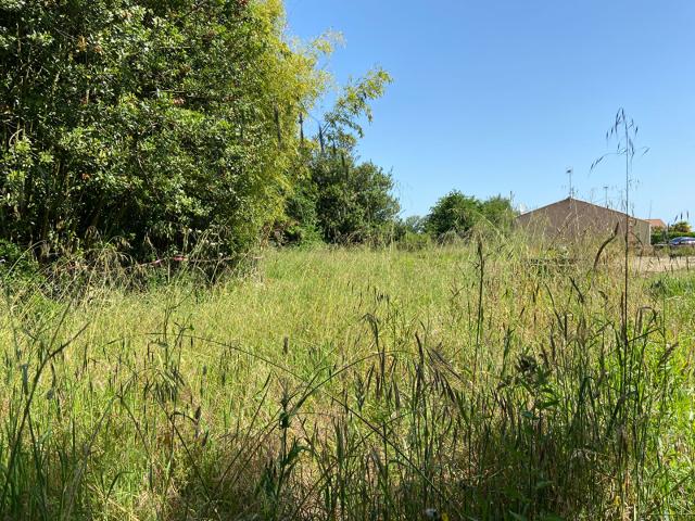 Terrain vente à Notre-dame-de-riez, Vendée