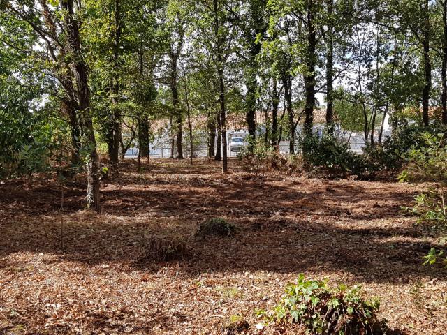 Terrain vente à Notre-dame-de-riez, Vendée