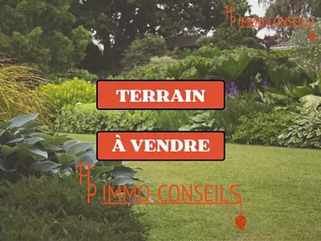 Terrain vente à Châteaubriant-Ancenis, Notre-dame-des-landes