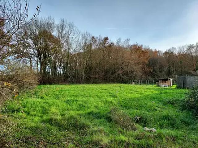 Terrain vente à Châteaubriant-Ancenis, Notre-dame-des-landes