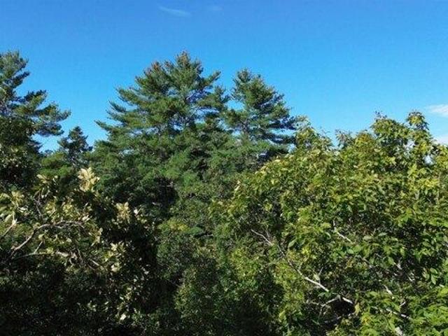 Land for sale in Nottingham, Rockingham County