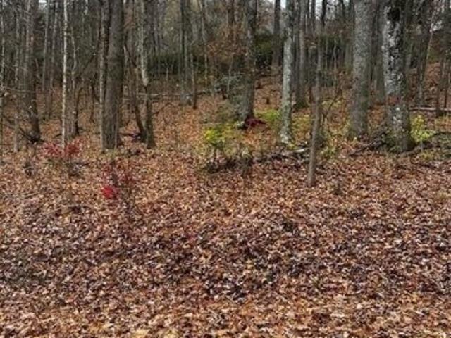 Land for sale in Maggie Valley, North Carolina