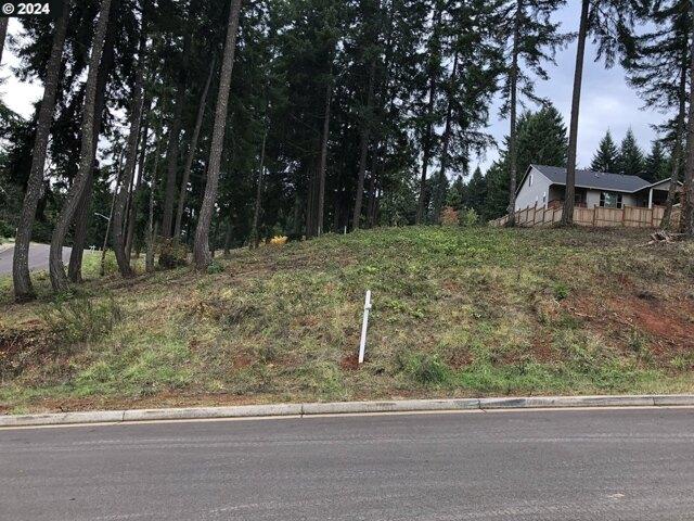 Land for sale in Veneta
